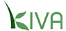 Kiva - loans that change lives