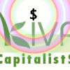Kiva Capitalists