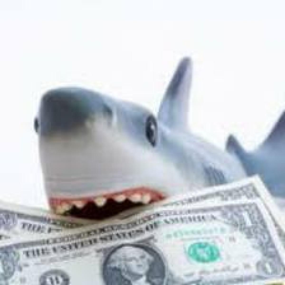 kiva-lending-team-loan-shark-kiva