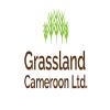 N/A, direct to Grassland Cameroon