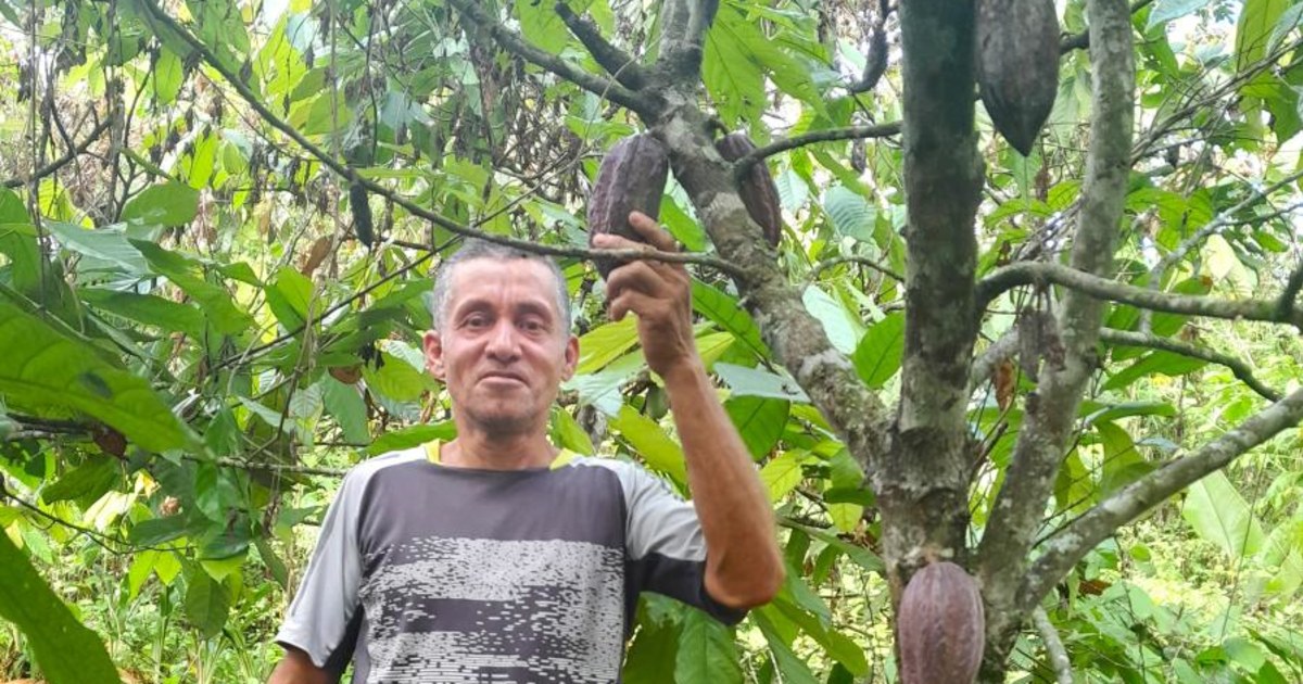 Bartolo Ismael from Ecuador's loan has been funded! | Kiva