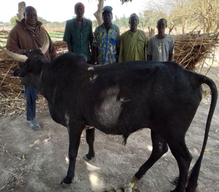 Sabugnouma Group