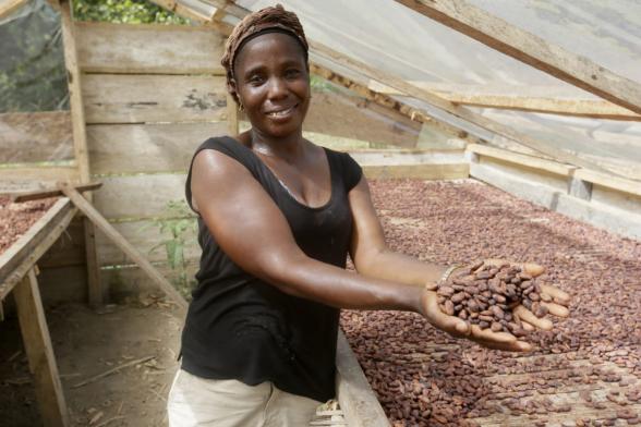 Liberia Cocoa Corporation